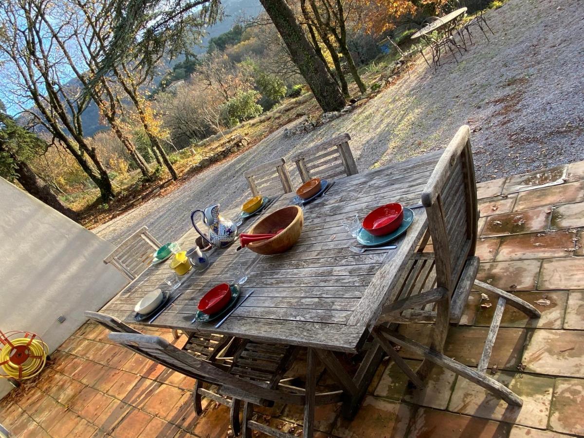 La Maison De Mado Et Sa Cabane Dans Les Arbres Plan d'Aups Exterior photo